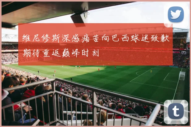 维尼修斯深感痛苦向巴西球迷致歉期待重返巅峰时刻