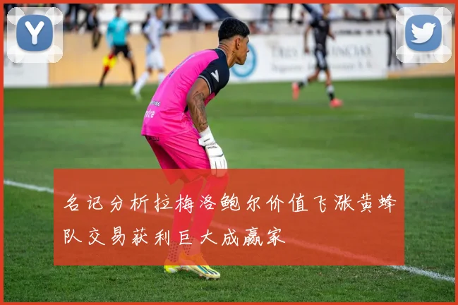 名记分析拉梅洛鲍尔价值飞涨黄蜂队交易获利巨大成赢家